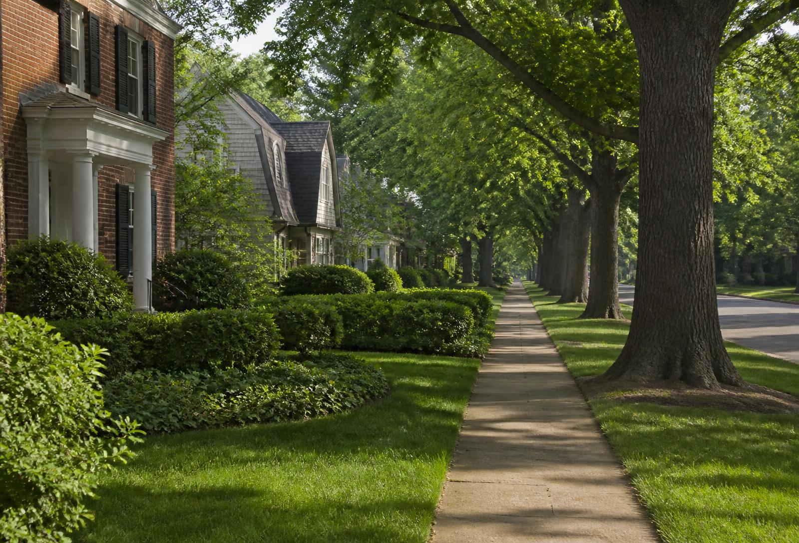 Shaded Glencoe sidewalk lined with mature oaks beside brick colonial and shingled homes