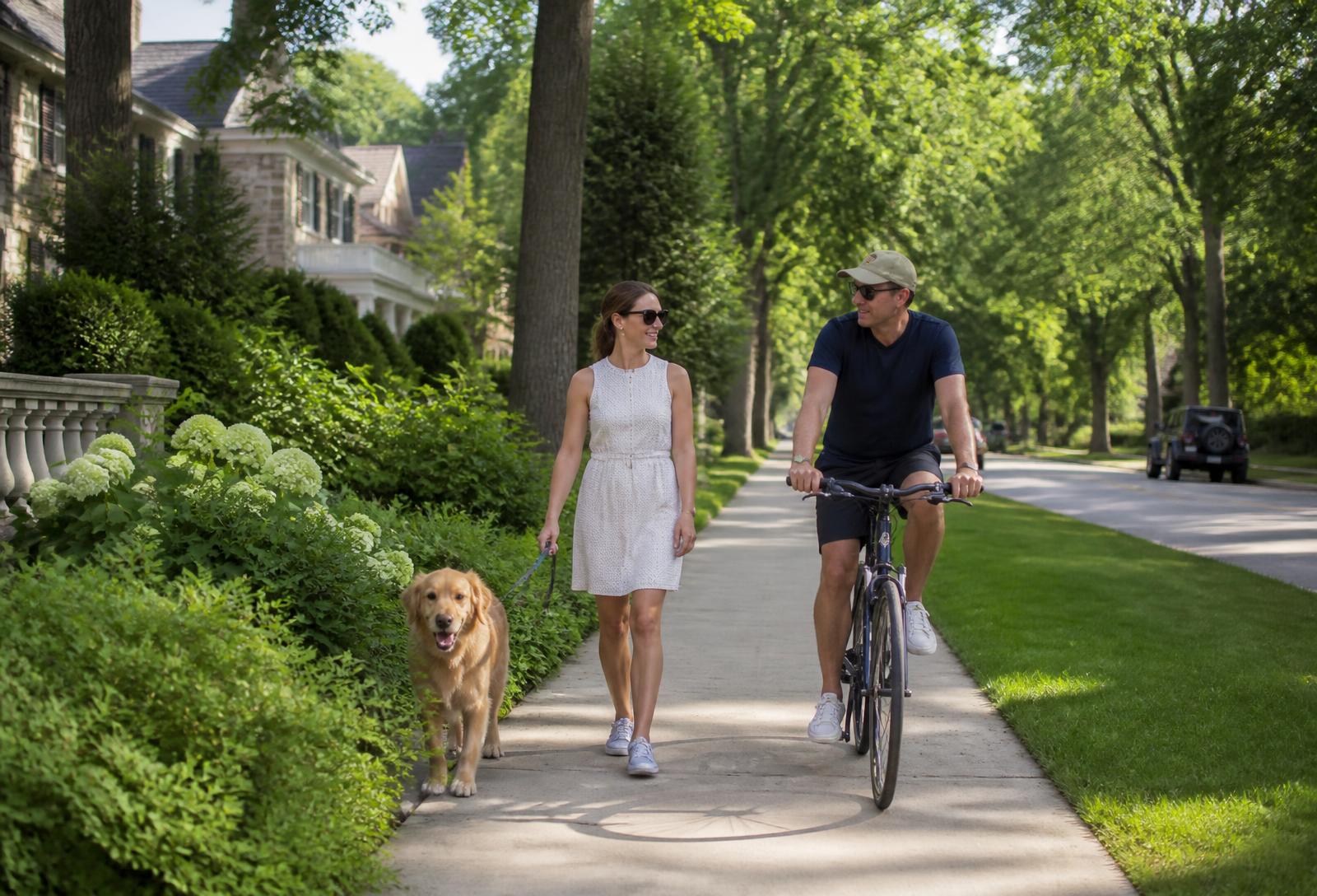 A woman walking a dog and a man riding a bicycle along a shaded Winnetka sidewalk lined with hedges and historic homes